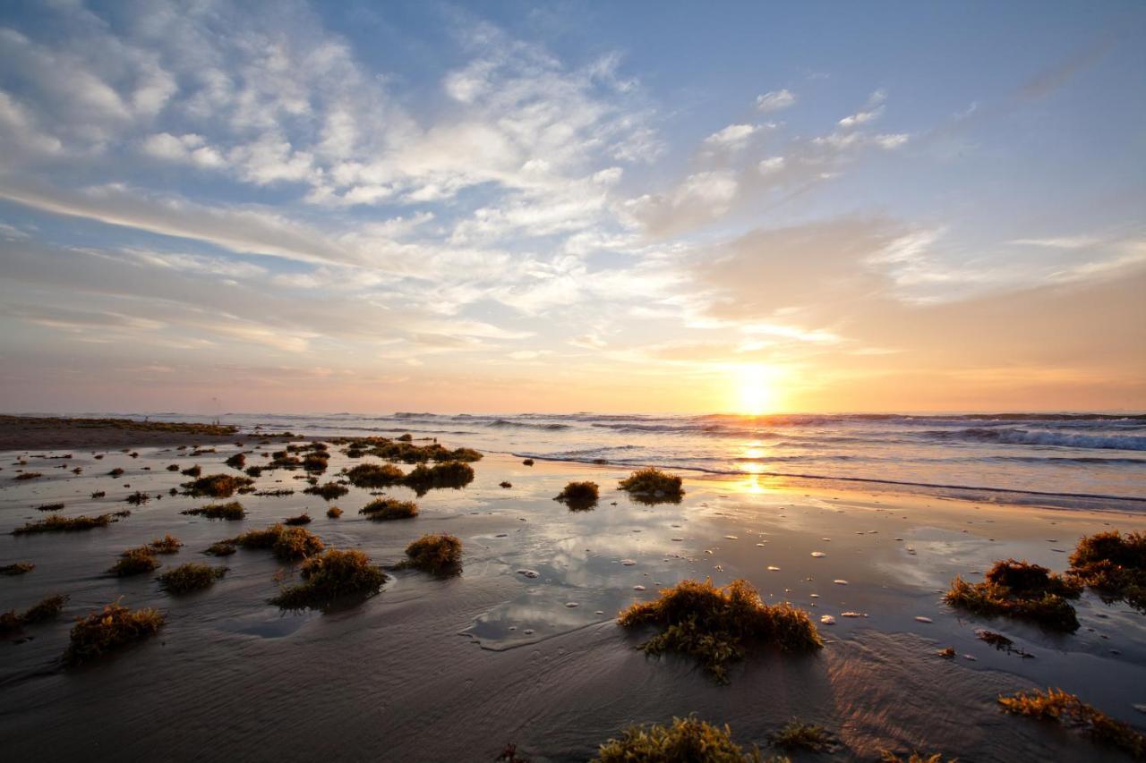 Island Serenity South Padre Island Εξωτερικό φωτογραφία